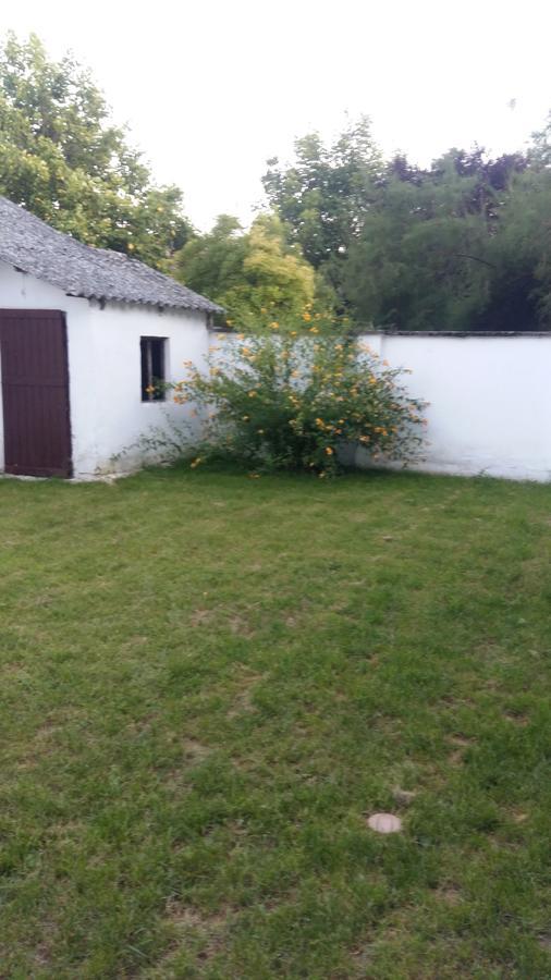 Ferienwohnung Natalia Apartman Makó Exterior foto