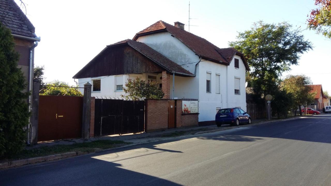 Ferienwohnung Natalia Apartman Makó Exterior foto